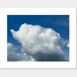 Elephant shape cloud with pileus Posters and Art